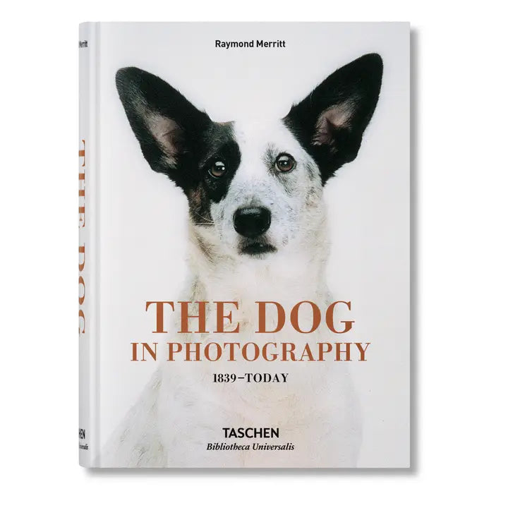 The Dog in Photography 1839–Today