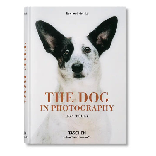 The Dog in Photography 1839–Today