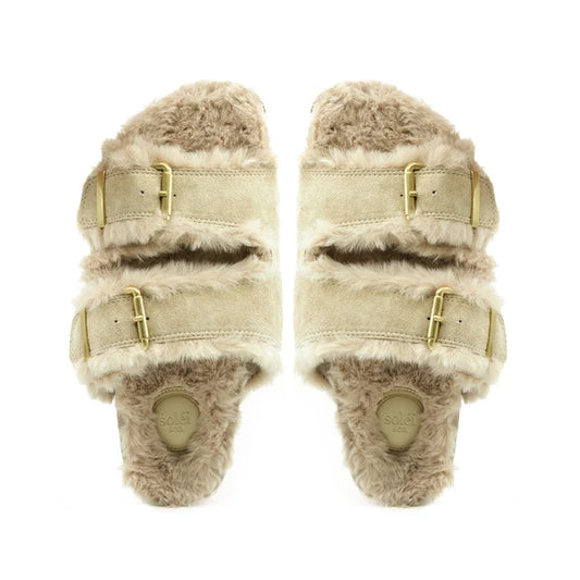 BIrch Slipper